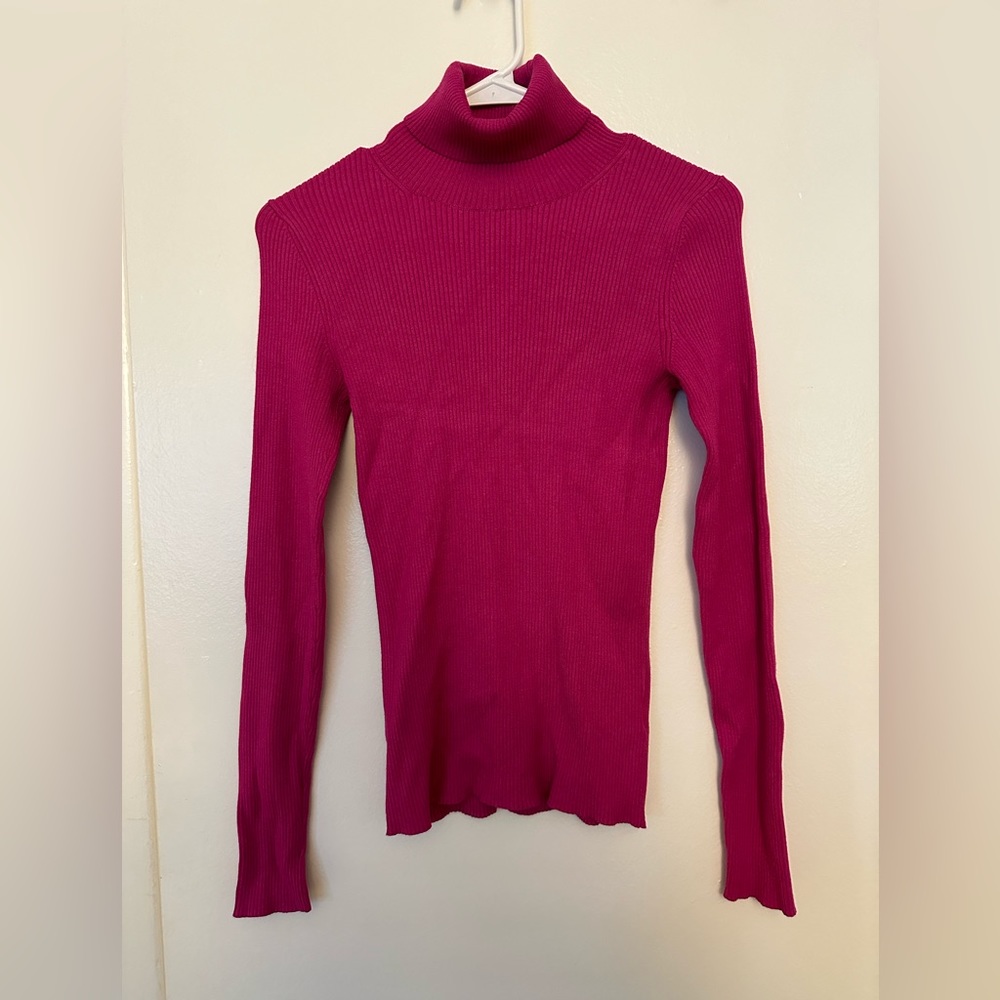 Aritzia Babaton turtle neck